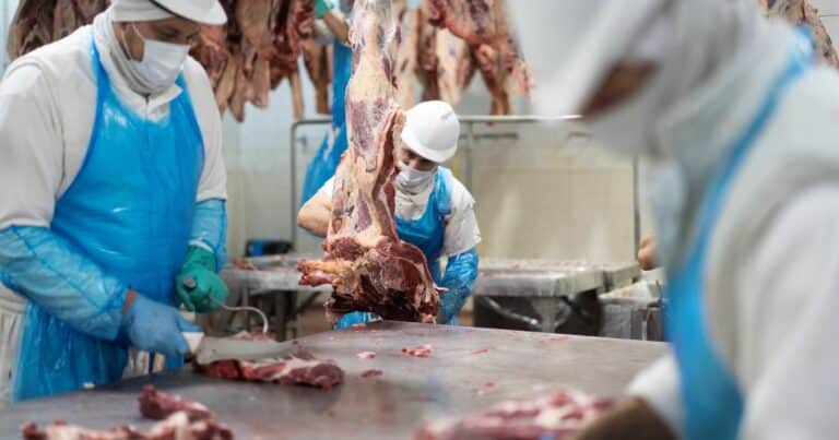 Los productores ganaderos y la industria cárnica, en busca de un «idioma común» para potenciar las exportaciones