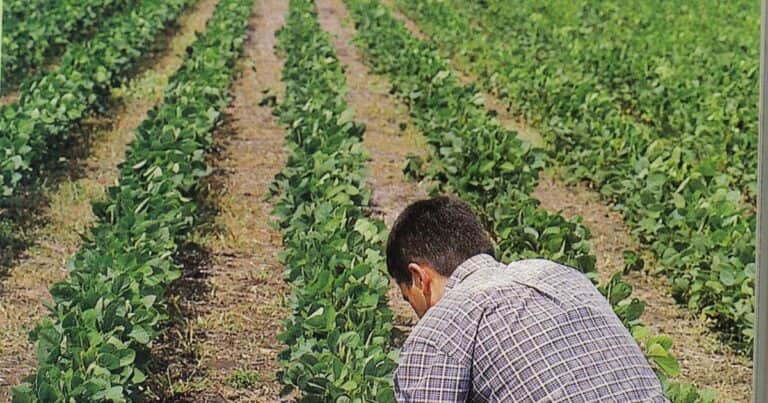 Una nueva narrativa sobre el campo: menos prejuicios, más innovación y una visión estratégica del desarrollo