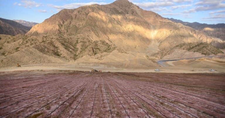 El dueño de la mayor fortuna en oro en el mundo le prometió a Milei una nueva inversión por US$ 1.500 millones