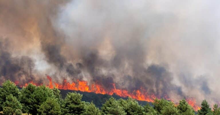 Un incendio forestal fuera de control arrasa con miles de hectáreas a tan solo cien kilómetros de Madrid