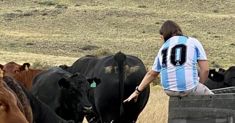 En la Expo Rural, el Gobierno lanzó créditos a valor producto para genética ganadera con los beneficios del RIMI