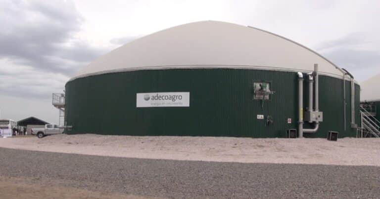 Gigante del agro argentino sale de compras en Brasil y fortalece su presencia regional