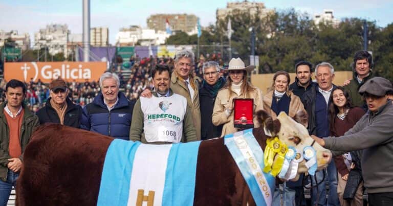 «Tenía todo lo que uno busca»: la vaca «Clarita» brilló en la Expo Rural y le dio a Santa Rita un triunfo histórico en Hereford
