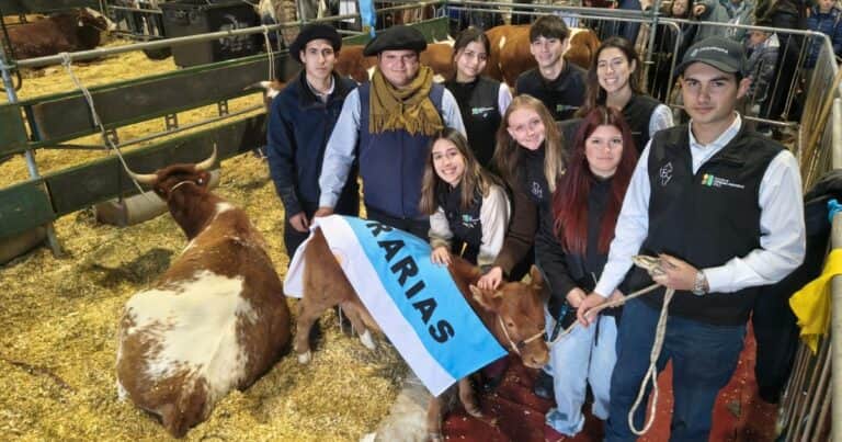 Rescataron bovinos criollos de una isla patagónica y se consagraron tricampeones en Palermo