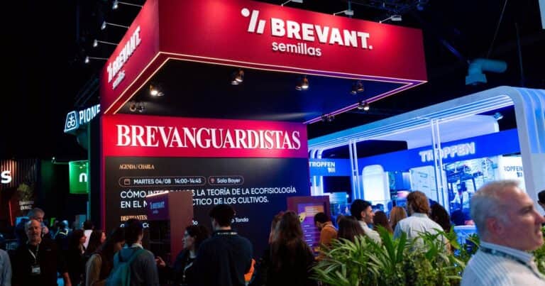 Colección 2026: una marca renueva su portafolio y se consolida como un semillero completo