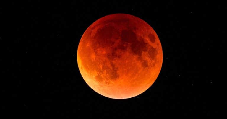 Eclipse Lunar de agosto: cuándo es el próximo fenómeno astronómico del mes y dónde se verá