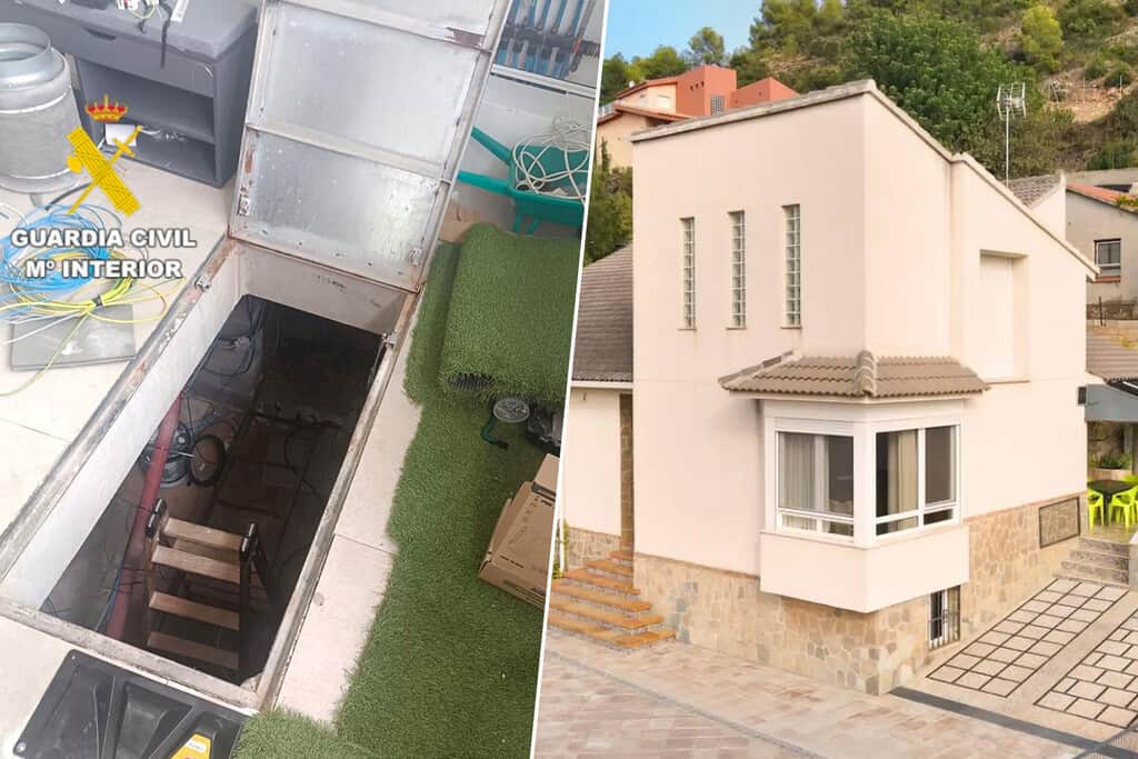 Compran una casa en un pueblo de Castellón y descubren que los antiguos dueños habían dejado una plantación de marihuana dentro