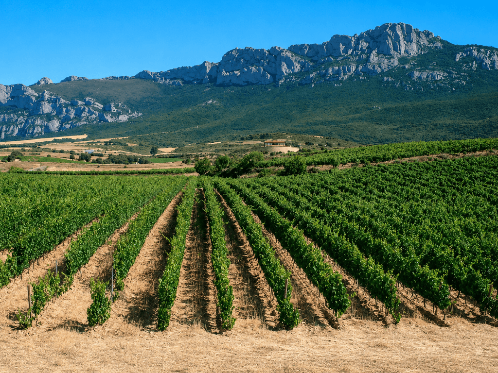 Eran algunas de las marcas más icónicas del vino de Rioja. Una subasta las ha dejado en manos del gigante de Valdepeñas