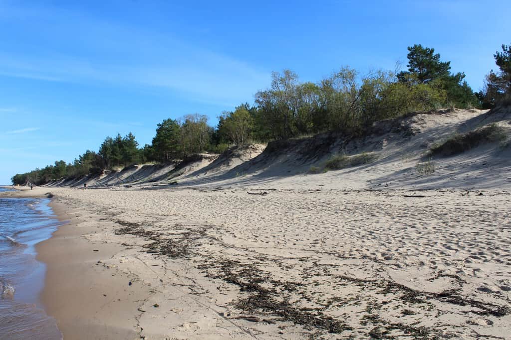 Alabama lleva 40 años enterrando árboles de Navidad sobre sus playas. El resultado ha sido un éxito: nuevas dunas contra los huracanes