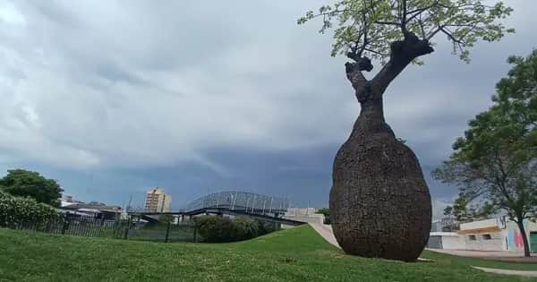 Advierten por tormentas y ráfagas para la noche del jueves