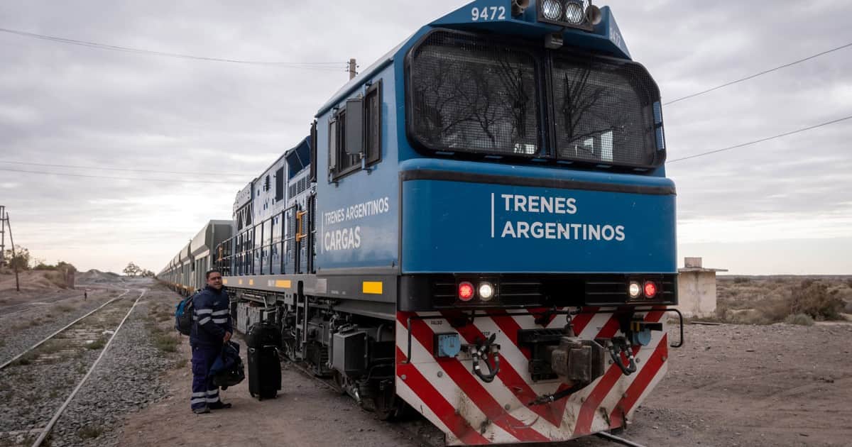 Privatización del Belgrano Cargas: dos organismos internacionales ofrecieron financiar a la empresa que gane la licitación