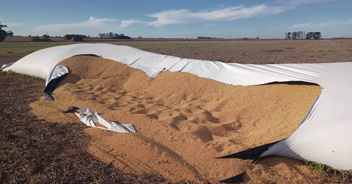 Gana apoyo un proyecto en el Congreso sobre Vandalismo Rural que crea nuevas figuras y endurece penas