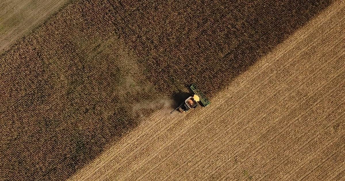 La suba de precios traccionó la venta de los productores: la comercialización de granos creció un 40% esta semana