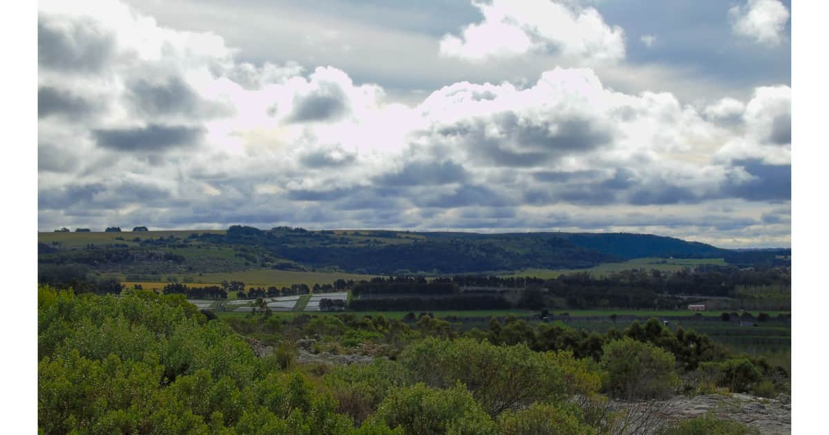 Sierra de los Padres: el circuito gastronómico a minutos de Mar del Plata que atrae con asadores, almacenes y casas de té
