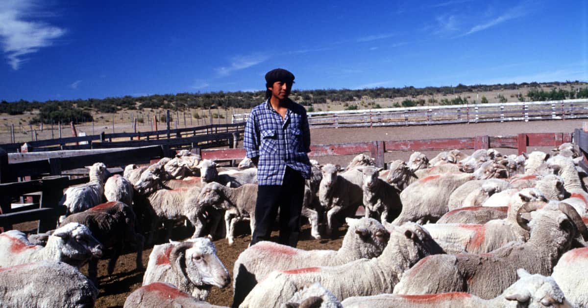 El campo chubutense reclama medidas urgentes para frenar la pérdida de productores
