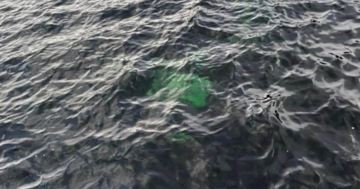Investigan una camioneta que apareció hundida en un lago de Comodoro Rivadavia: la principal hipótesis de los investigadores