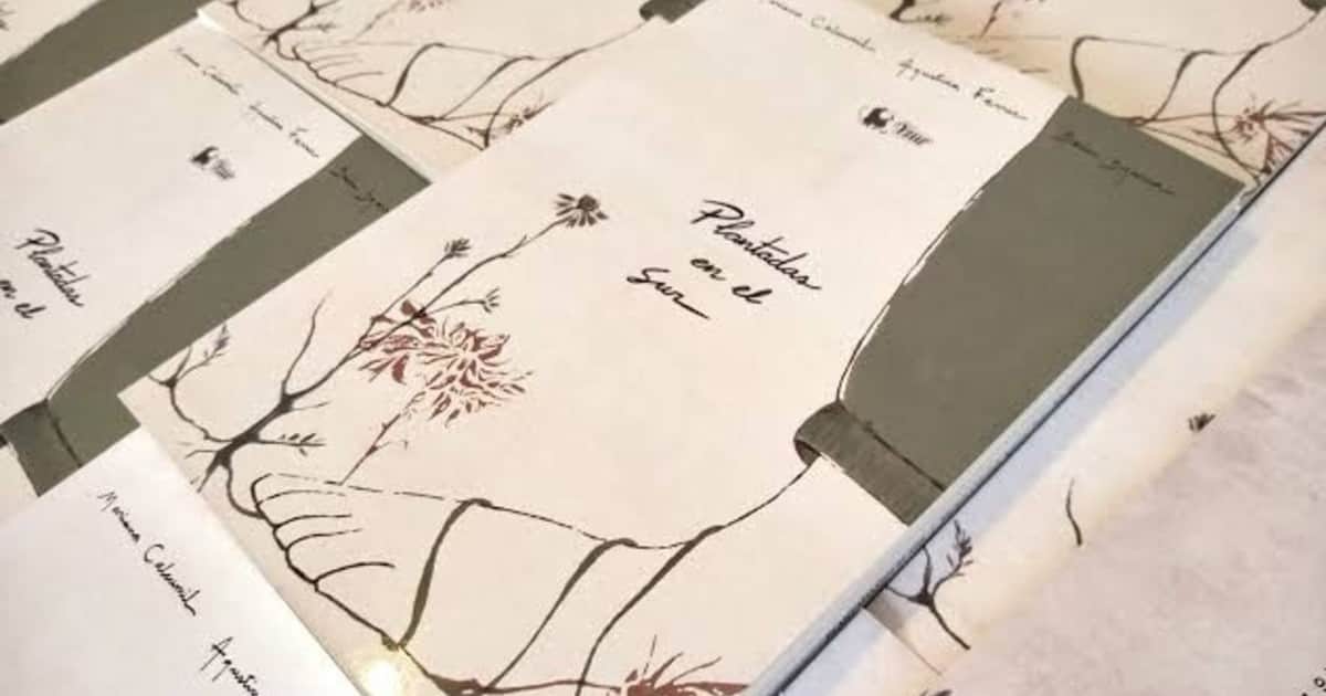 La poesía como herramienta para recuperar la lengua mapuche: lanzan un concurso y una antología
