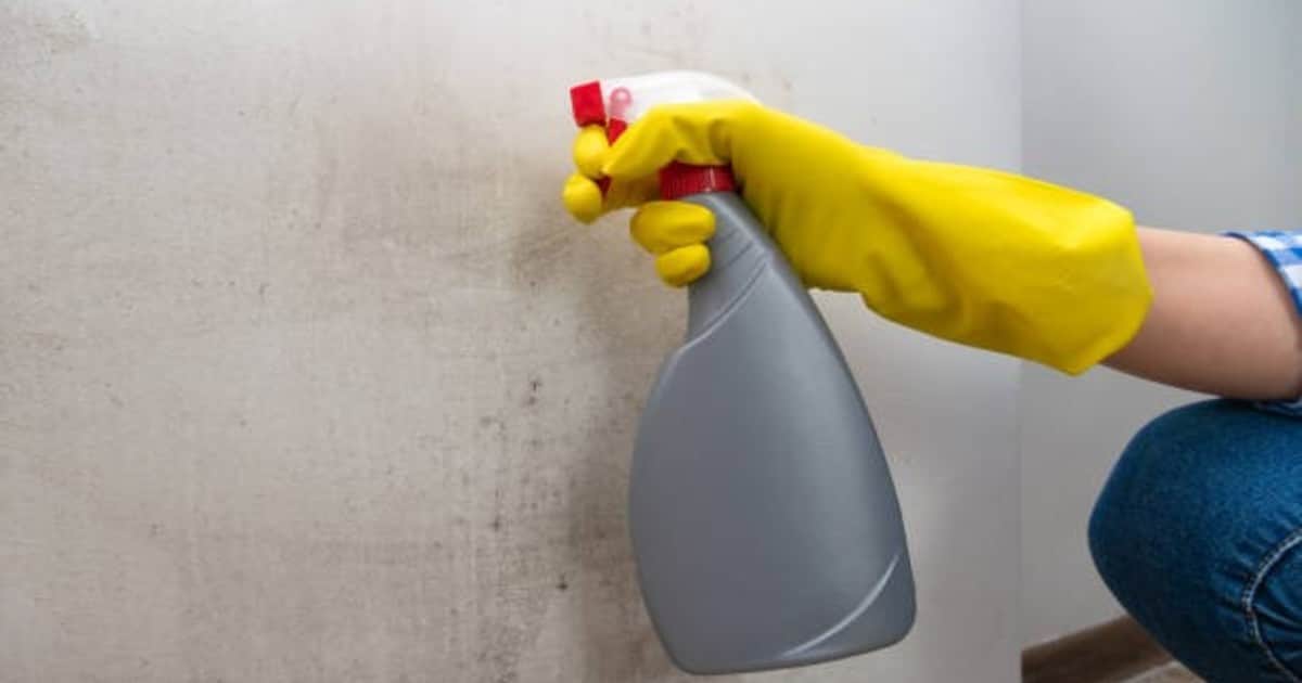 La ANMAT prohibió dos marcas de productos de limpieza: cuáles son y por qué las retiró del mercado