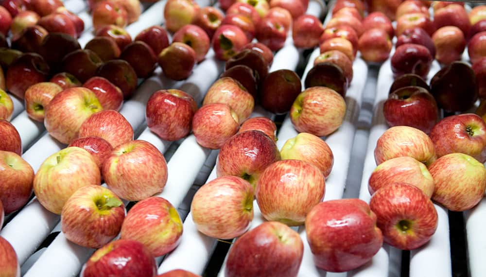 La paradoja del “otro agro”: pese a la baja competitividad, crecen las exportaciones de las economías regionales