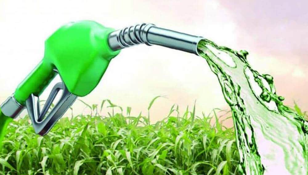 Presión desde el agro para el Senado: piden el tratamiento urgente de la Ley de Biocombustibles