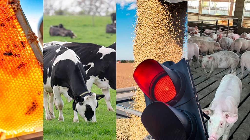El campo enciende nuevas luces rojas: ya son 9 las economías regionales en situación crítica