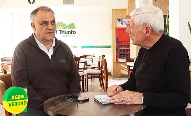 ¿Qué hacer con la soja, el maíz y el trigo?. un momento para tomar posiciones de precios