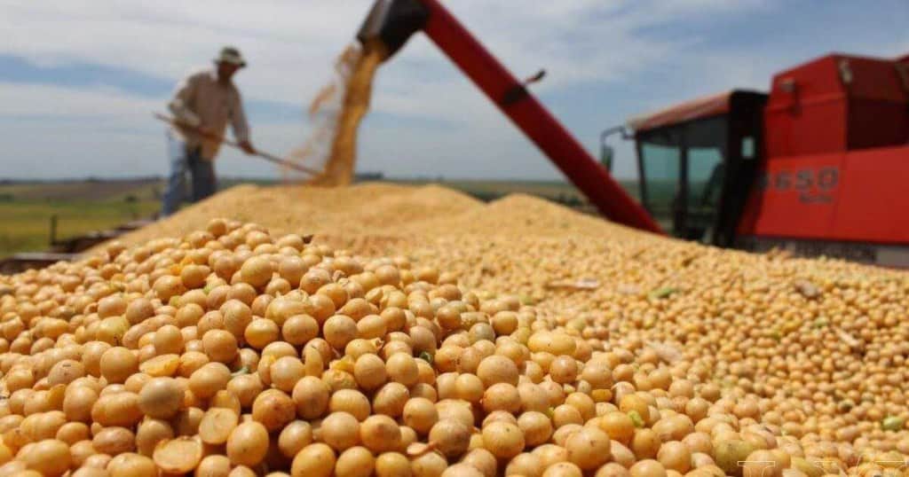 Grupo Elementa compra activos de Molinos en Rosario e invertirá US$ 100 millones