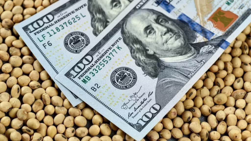 La actividad de la cadena agropecuaria creció 12% interanual en julio