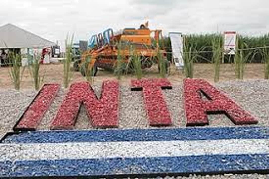 El INTA desarrolló un compost con hongos benéficos para cultivos