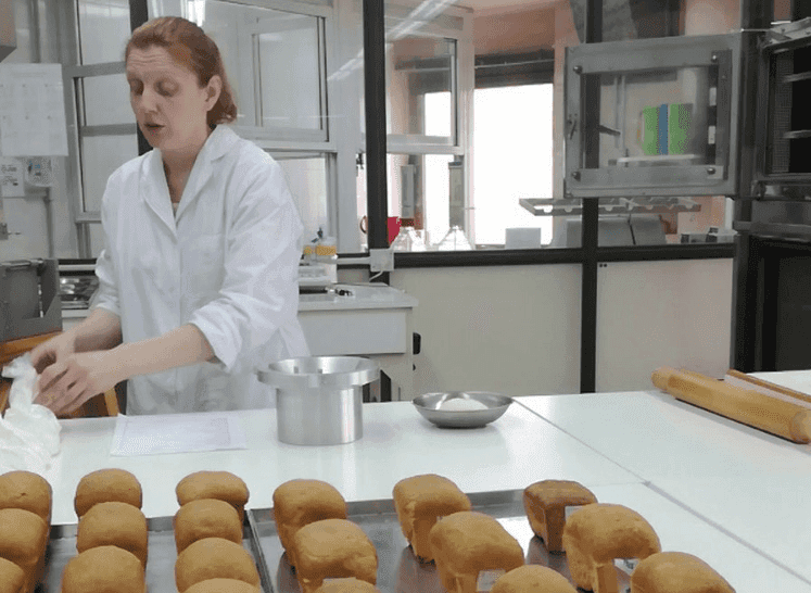 ¡No dejes de analizar! Se viene otra campaña de trigo con premios importantes para partidas con calidad panadera