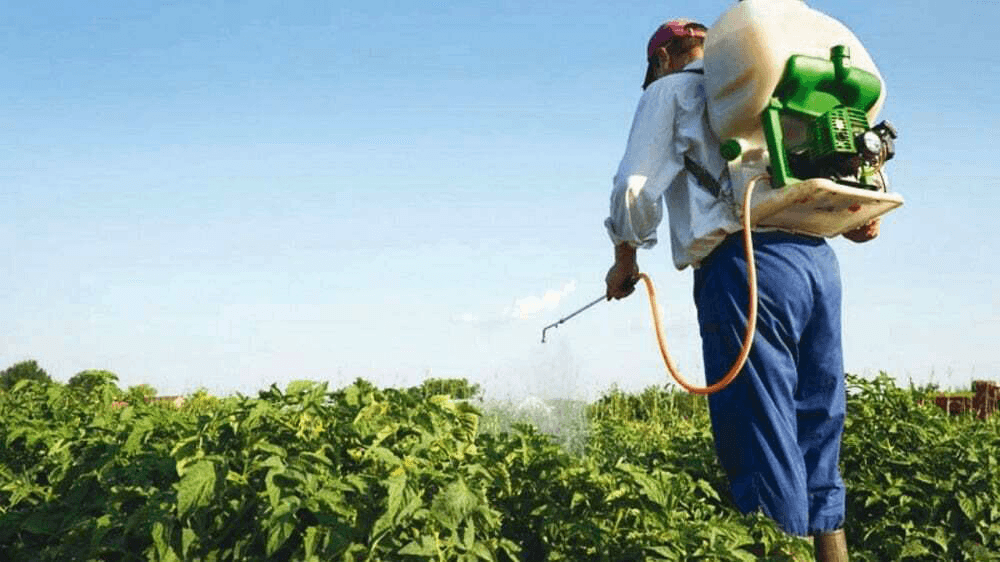 La marcha atrás con la prohibición del glifosato suma respaldos: La SRA y entidades productivas de Misiones celebraron la decisión de Passalacqua de revisar la Ley de Bioinsumos