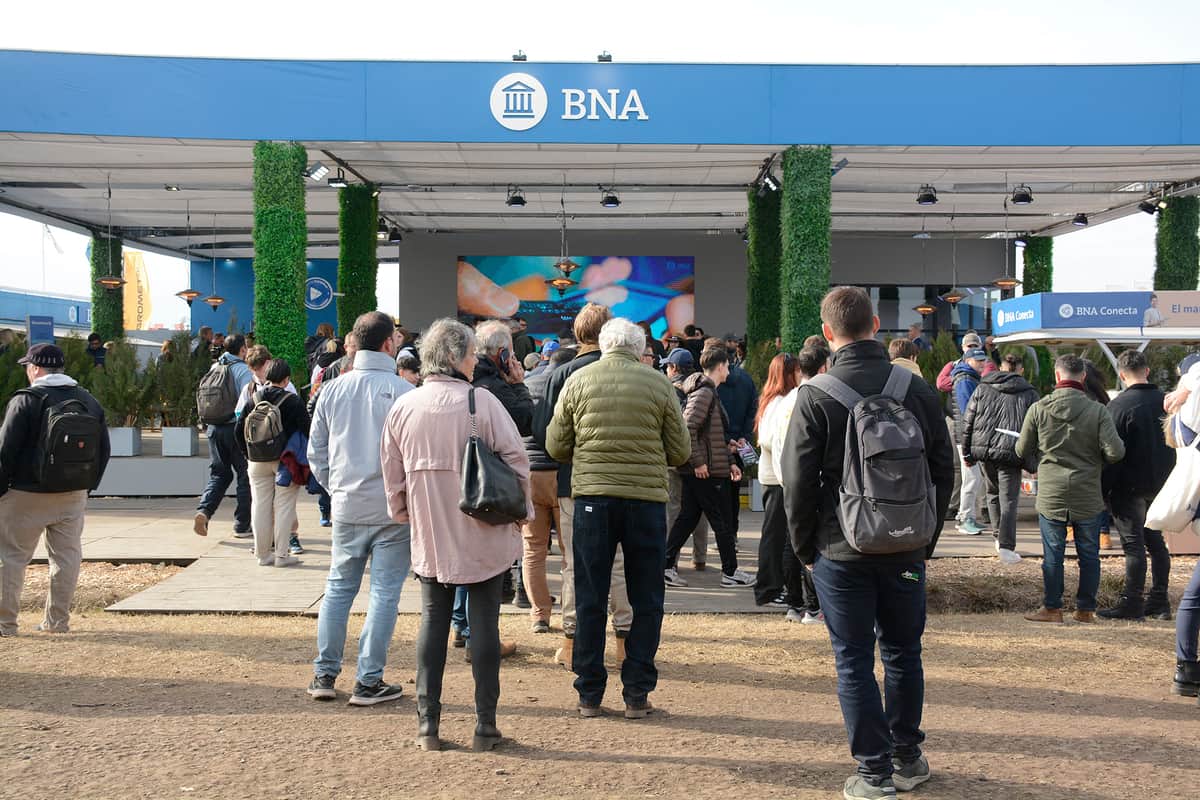 El agro se convirtió en el segmento que más crece para el Banco Nación: Ya concentra casi el 30% de su cartera y acumula 4,6 billones de pesos en créditos