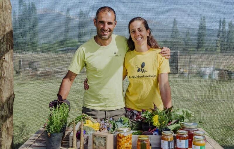 De la psicología a las abejas y la ruralidad: La historia de Huenu, la mujer que convirtió una chacra en un proyecto de vida
