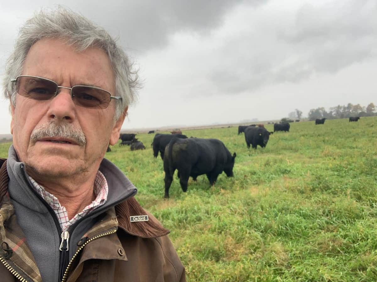 Golpe de timón y signo de los tiempos: Juan José Macetti, de la cabaña Santa Micaela, vende su genética para darle más lugar a la producción de novillos de exportación