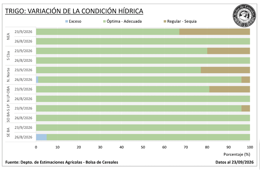 Por ahora aguanta: El trigo sembrado resiste a las heladas, el granizo y la falta de lluvias, pero empieza a pedir agua cuanto antes