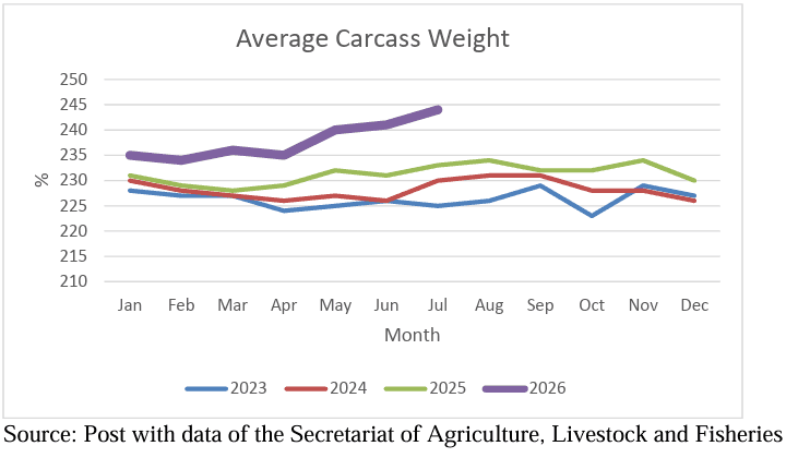 La carne importada gana terreno: Mientras cae la producción y faena local, el USDA proyecta compras récord de hasta 70.000 toneladas en 2027