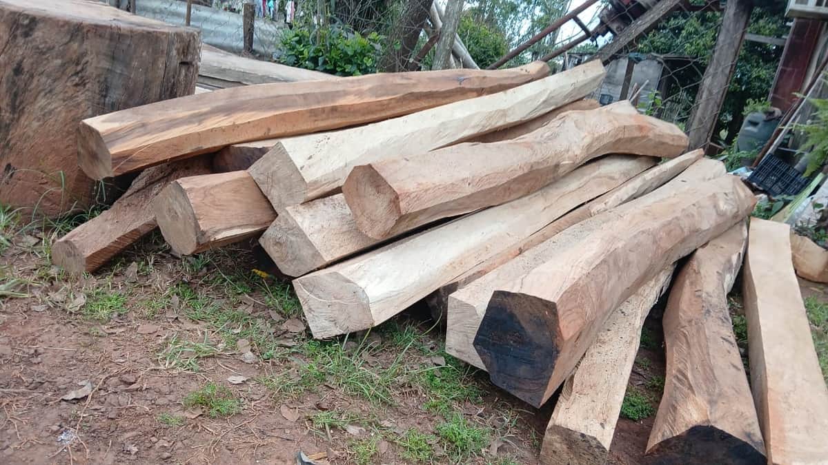 Después de toda una carrera como forestal, Wilmar Díaz Perera se reinventó como huertero cerca de Virasoro, pero no le resulta fácil crecer