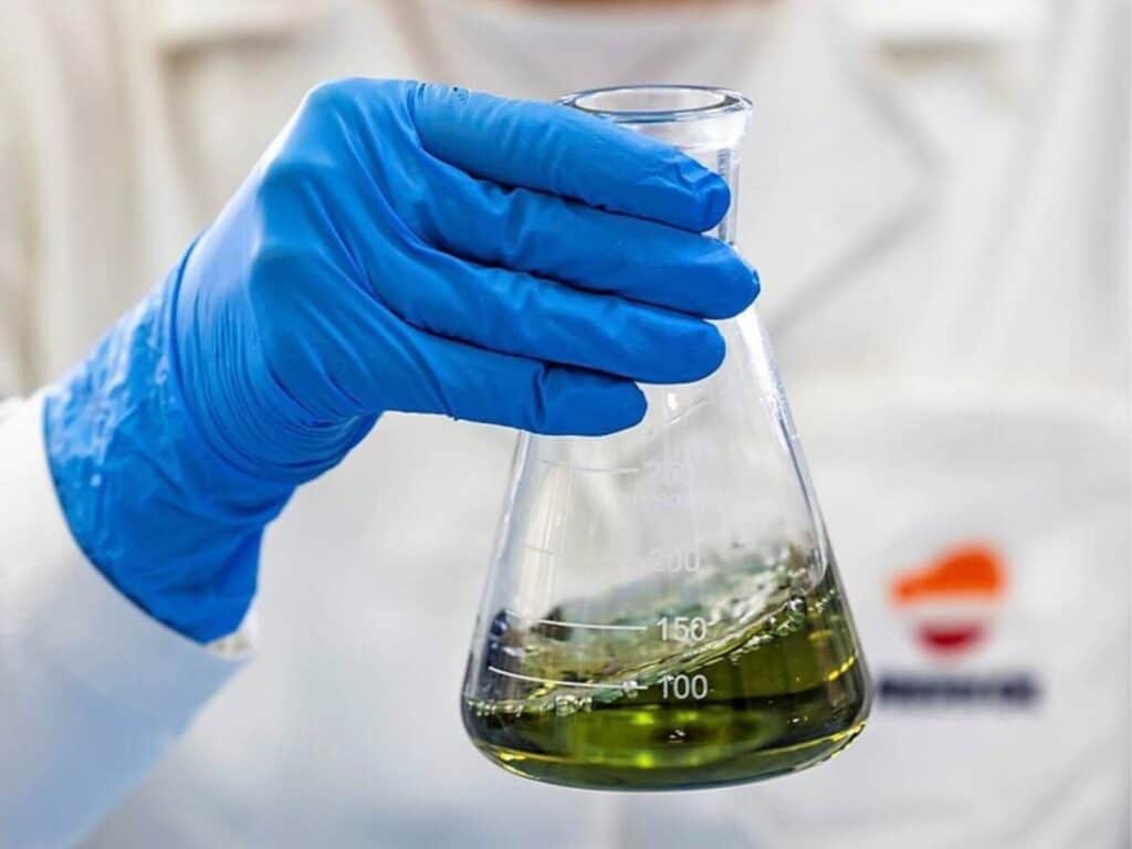 Estudiantes de Córdoba investigan una especie regional como fuente alternativa de biocombustible
