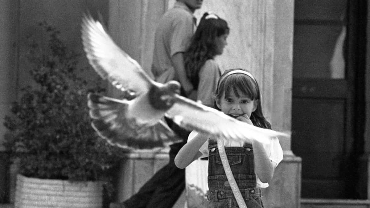 La Córdoba del Gato Ludueña, en 40 años de fotos
