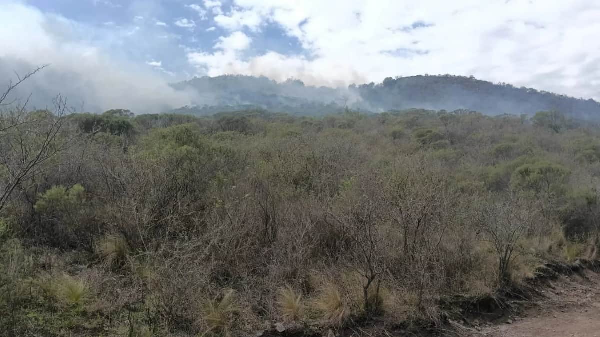 Un incendio forestal en La Calera moviliza a bomberos, Etac y medios aéreos