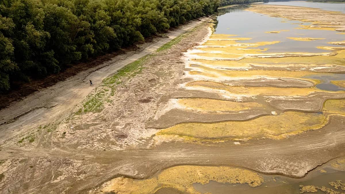 La sequía seca el Danubio y saca a la luz mamuts, barcos nazis y un puente romano
