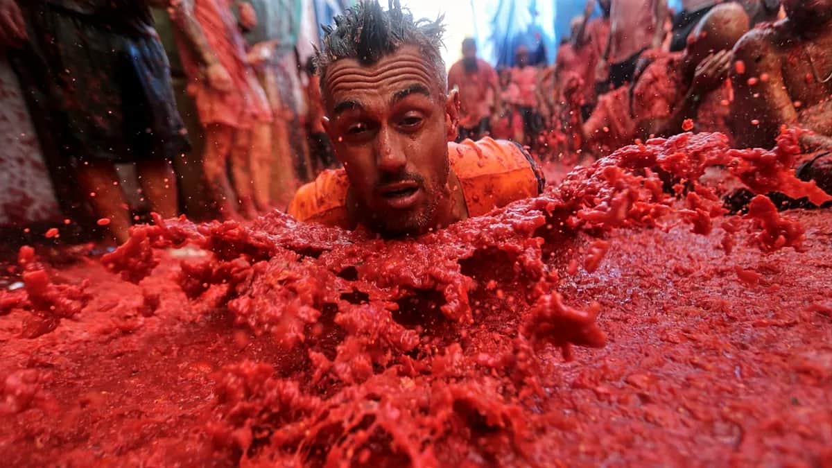 La Tomatina 2026 en imágenes, el caos del tomate toma las calles de Buñol