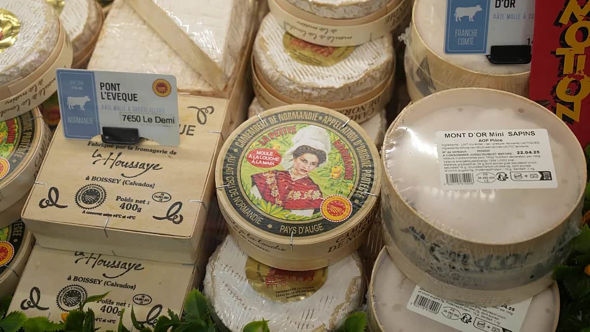 La sequía obliga a Francia a cambiar sus estrictas normas para producir queso