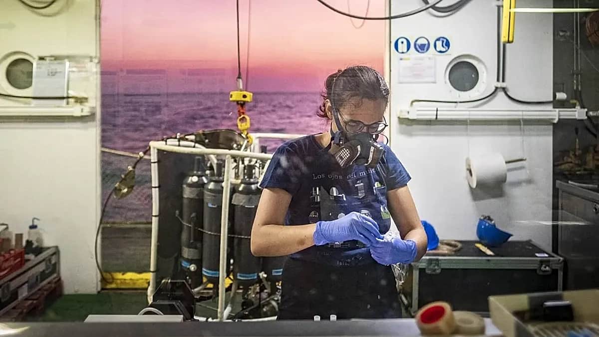 ¿Cómo está cambiando el Mediterráneo? 40 años de datos revelan el impacto del cambio climático