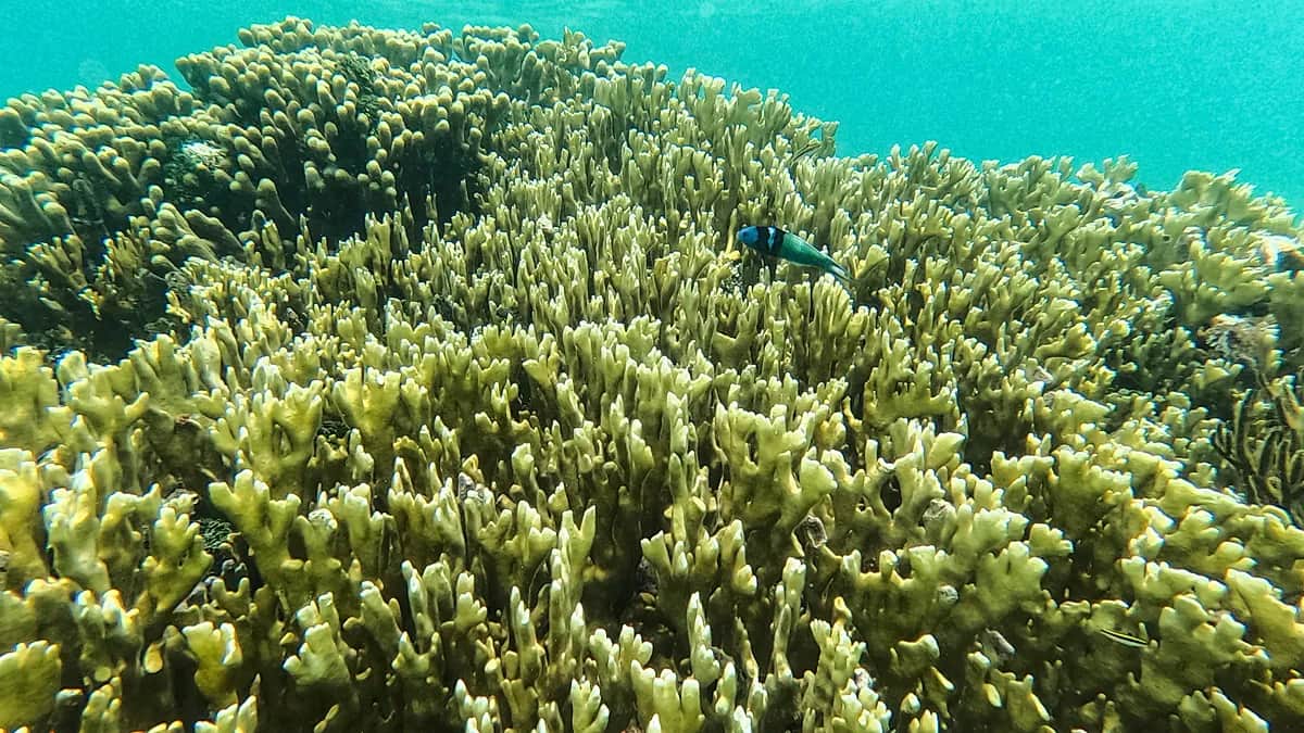 ¿Potencia el calentamiento global los El Niño? Un nuevo estudio aporta pistas
