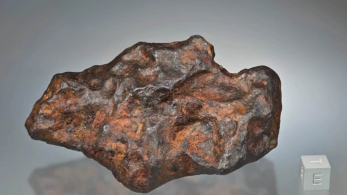 Nuevos hallazgos en el Jura bernés, el tesoro de meteoritos alcanza dimensiones récord