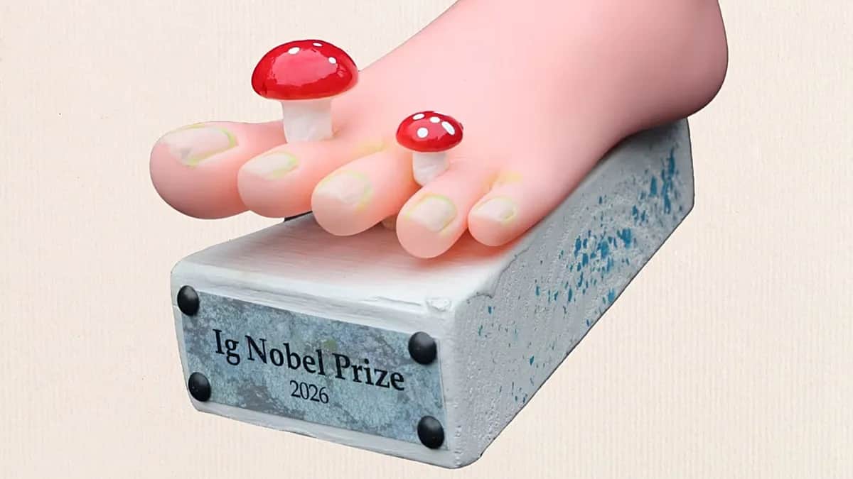 Capitalistas que roban caramelos y la definición del beso, premios Ig Nobel 2026