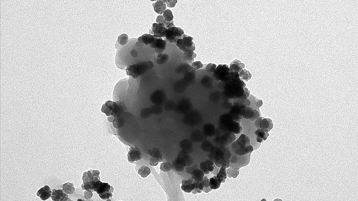 El CSIC diseña "nanoflores" magnéticas capaces de atrapar y transformar los nanoplásticos del agua