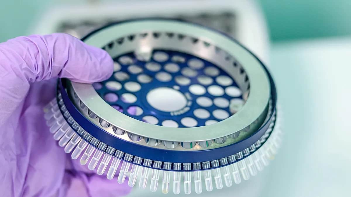 España, segunda de la UE en fondos de ciencia Marie Curie: recibirá 17,2 millones para 121 investigadores
