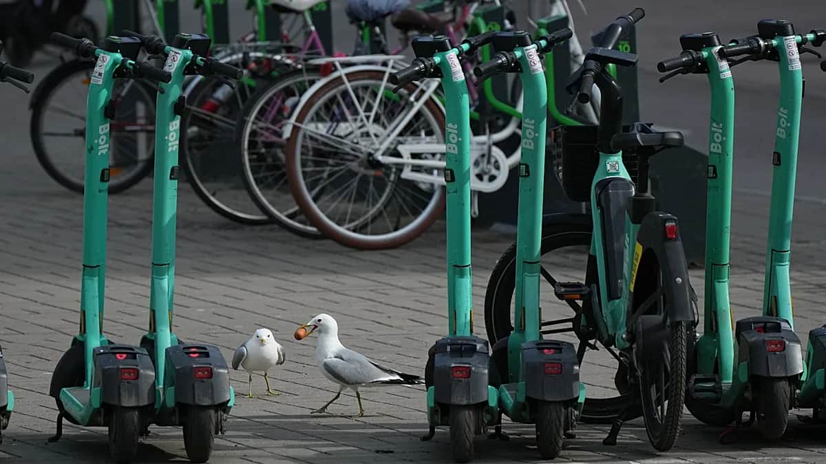 Atenas refuerza el control de los patinetes eléctricos